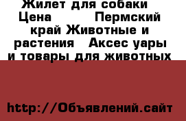 Жилет для собаки › Цена ­ 400 - Пермский край Животные и растения » Аксесcуары и товары для животных   
